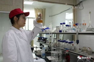 肥西縣高新技術(shù)企業(yè)認(rèn)定實(shí)現(xiàn)新突破 科技中介服務(wù)助力產(chǎn)業(yè)升級(jí)